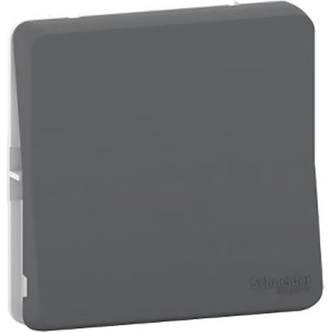 Interruttore sezionatore MUREVA grigio IP55 10 AX 250 V AC 1 polo 2 vie