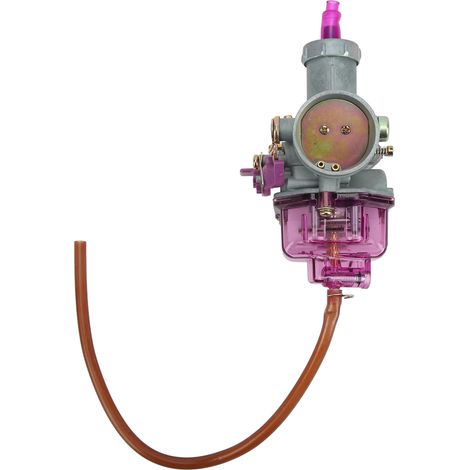 Carburateur 30mm Métal pour Moteur 125cc 150cc 175cc 200cc 250cc Quad ATV Moto Violet (1/5)