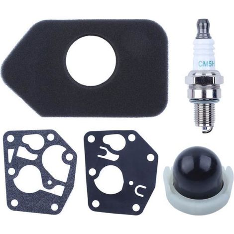 698369 Joint de membrane de carburateur Filtre à air pour Briggs Stratton 495770 795083 (1/4)