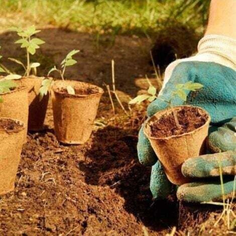 100 Pieces Pot Semis Biodegradable, Godet Semis Biodegradable, Pot pour Semis, 8cm, Rond, Outils de Jardinage à Domicile