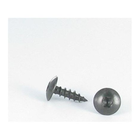 Vis Penture 6X40 Filetée sur 38 TORX T30 Inox A2 Noir-30 pièces