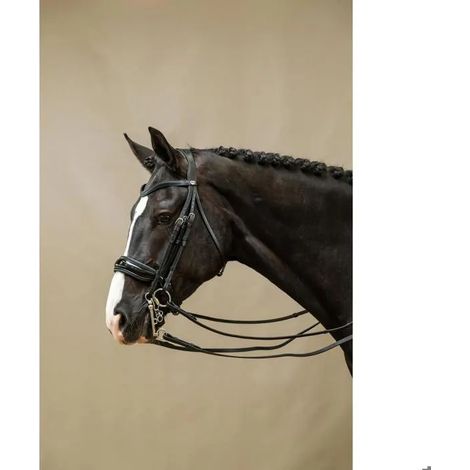Bridon double Dyon working collection rembourré anatomique (1/2)