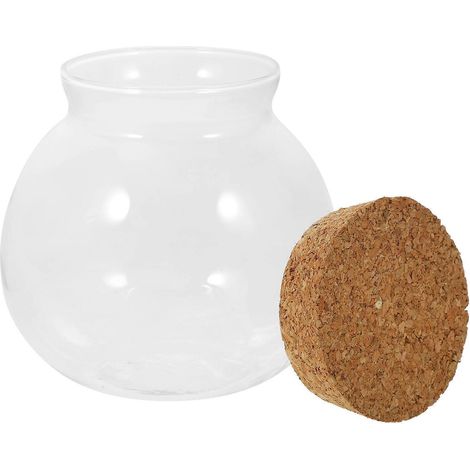 Terrarium en verre Eco Bottle pour usage quotidien jardinière transparente (1/4)