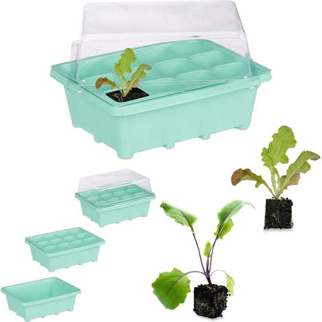 Mini semis bouturage kit bouture Serre graines bac semences 12 cellules terrine 18,5 x 14,5 cm, Vert, Menthe (1/5)