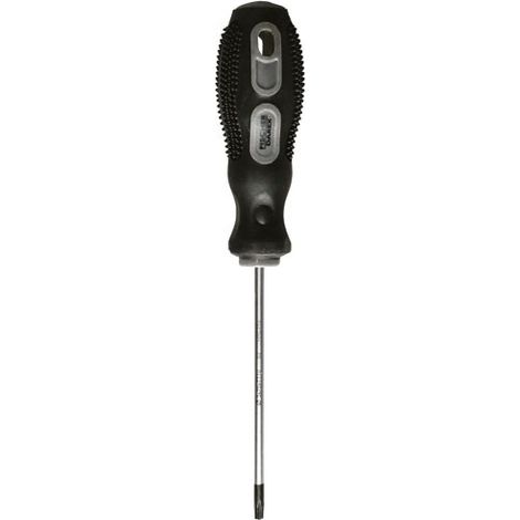 Tournevis Torx Tt10 Fischer Darex Embout Torx Tt10 Inviolable - Fischer Darex