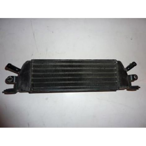 [PRODUIT D'OCCASION] Radiateur de refroidissement origine pour Moto BMW 1100 R T