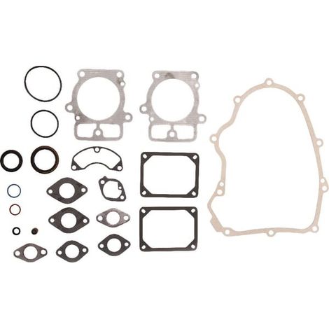 Set di tenuta BRIGGS ET STRATTON 699823