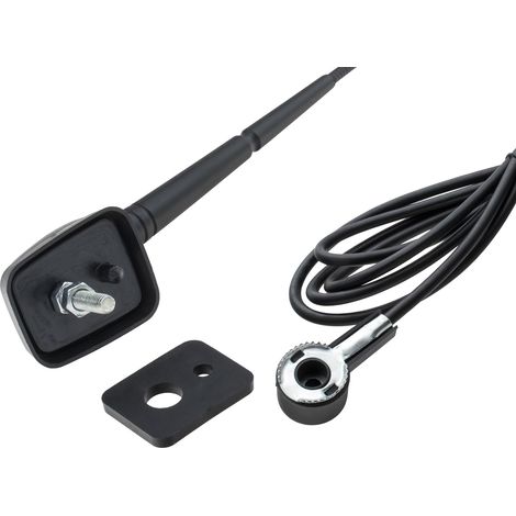 Antenne de toit Renault Citroën Peugeot (1/4)