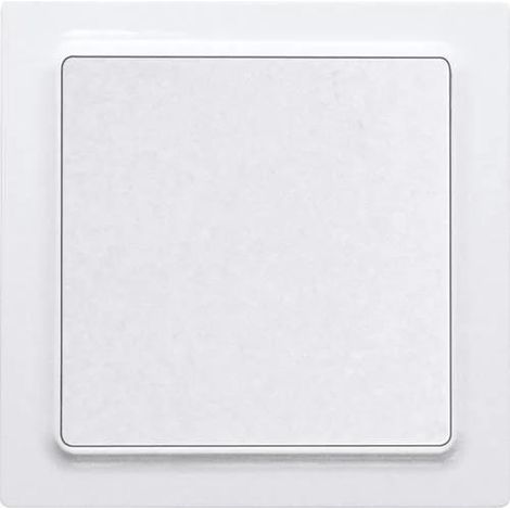Eltako F2T55E-wg Pulsador inalámbrico blanco de 2 canales