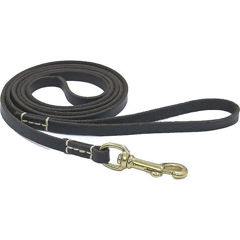 Schwarze Lederleine für das Hundetraining, ideal zum Training Ihres Hundes oder zum Üben seines Gehorsams im Garten. (1/5)