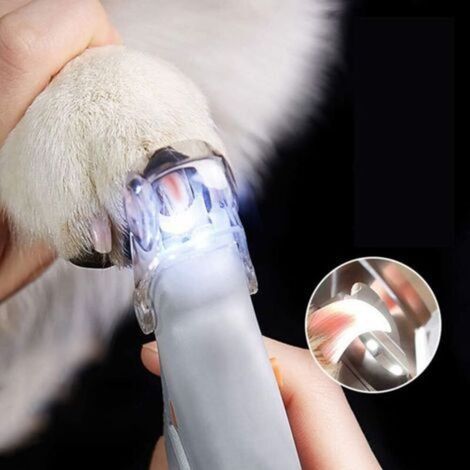 Coupe-ongles pour chat et chien, lampe LED, loupe anti-coupure pour animaux domestiques (1/5)
