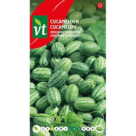 Cucamelon Concombre Du Mexique - Ca. 15 graines (Livraison