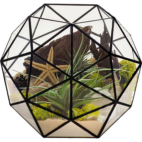 Pot de fleurs géométrique élégant en verre, support pour plantes, accessoires de jardinage (1/5)