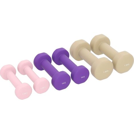 Juego de 6 mancuernas con maletín, 0,5 kg 1 kg 1,5 kg, rosa (1/5)