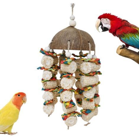 Jouets pour Oiseaux en Coquille de Noix de Coco, Jouets à mâcher pour Perroquet  Jouets de Perroquet en Coquille de Noix de Coco en épi de maïs pour Grands Oiseaux - Jouets à Suspendre pour nichoir,