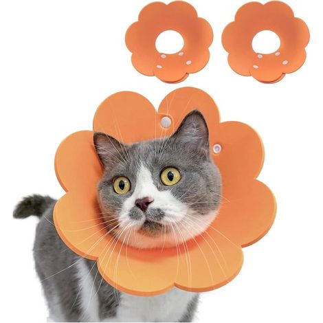 Lot de 2 colliers de protection pour chat et chiot - Doux - Aide à la cicatrisation - Orange - Taille M (1/5)