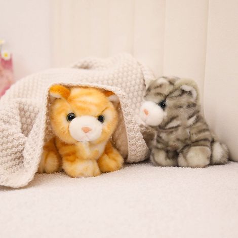 Doll Floral - Coussin Chat En Peluche - Jouet Apaisant Pour Enfants - Idéal Pour Chambre Ou Salon - 1 Pièce (1/3)