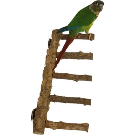 Échelle à oiseaux avec perchoir - support en bois naturel pour perroquets - jouets d'escalade pour hamsters, échelle de cage pour oiseaux de petite et moyenne taille - perruches - calopsittes - conure