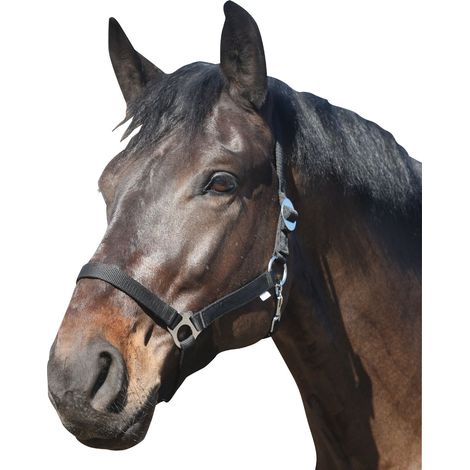 ELDORADO Pferde-Halfter Standard - schwarz - Warmblut (1/2)