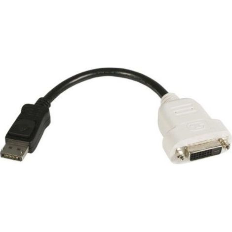 Startechcom DP2DVI DisplayPort zu DVI Adapter Schwarz (1/5)