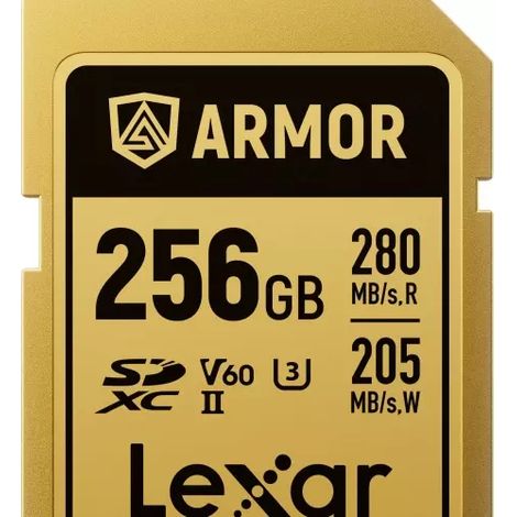 Carte mémoire LEXAR SDXC PRO GOLD ARMOR 256 V 60 (1/5)