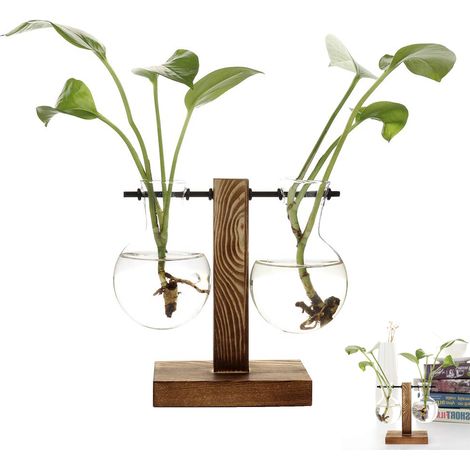 Vase hydroponique en verre vintage, pot suspendu pour une décoration de bureau élégante avec support (1/4)
