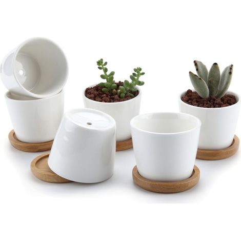 6 pots pour plantes grasses céramique blanche, 6,5 cm, avec plateau en bambou, idéal cactus et herbes aromatiques (1/5)