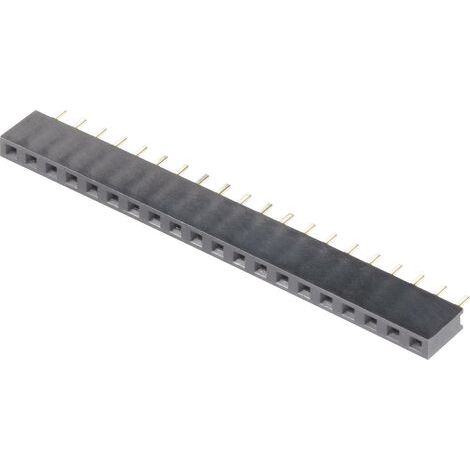 BKL Electronic Barrette femelle (standard) Nbr de rangées: 1 Nombre de pôles par rangée: 36 10120802 (1/4)