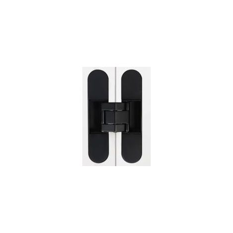 Charnière Invisible pour Portes, zamak, Noir, Lot de 1 charnières Invisibles pour Portes Lourdes, Charge de 40 kg, Ouverture de 180º (1/3)