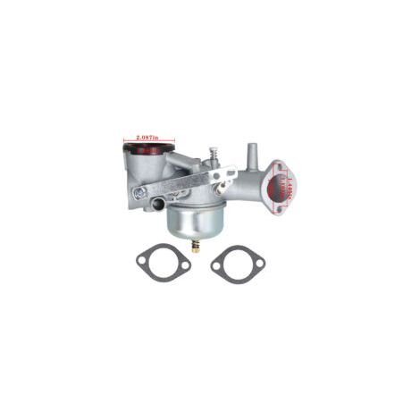 Carburateur DOLASO, carburateur pour moteurs Briggs & Stratton 491026/281707/491031 de 12 CV