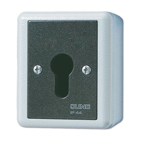 JUNG 833.18 G INTERRUPTEUR À CLÉ