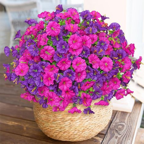 Lot de 10 fleurs artificielles d'extérieur résistantes aux UV - Plantes artificielles à suspendre(violet fuchsia) (1/5)