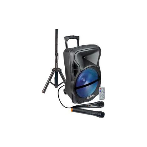 Cassa Audio Amplificato Lx 12 600 Watt Con Radiomicrofono (1/4)