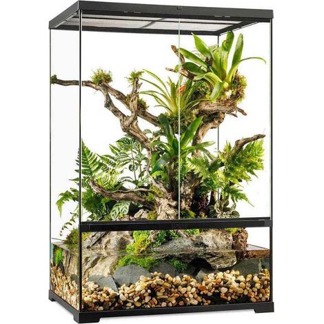 Terrario Exo Terra Pro Paludarium base impermeabile ventilazione discreta