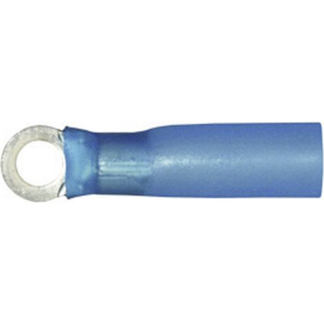 Vogt Verbindungstechnik 3637ah Ringkabelschuh mit Schrumpfschlauch Querschnitt (max.)=2.50 mm² Loch-