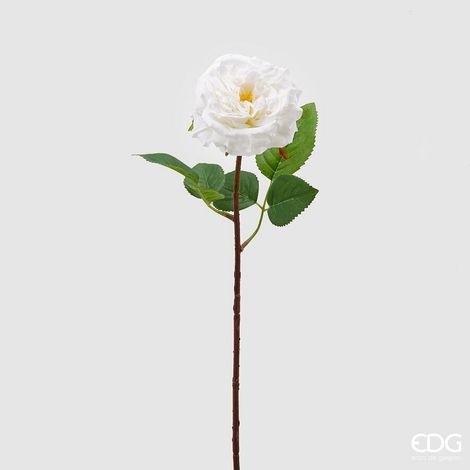 EDG Enzo De Gasperi Rosa Alma Olis 2 Fg H 48 Cm Pianta Artificiale Bianco