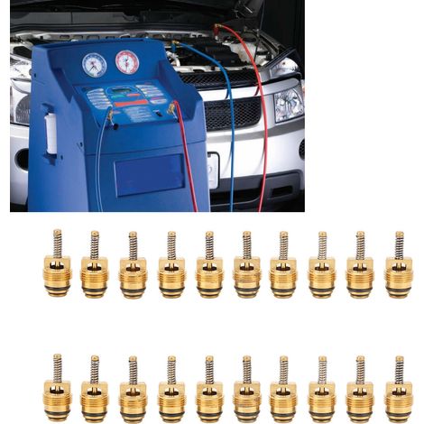 Lot de 20 noyaux de valve/tiges de climatisation haute pression pour automobiles, compatibles avec la série Buick (Référence : LR-FT062) (1/5)