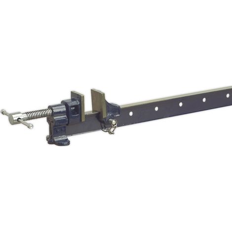 Sealey Sash Clamp 600mm AK6024