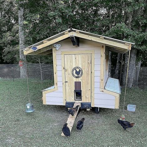 Automatische Hühnerstalltür – Betrieb mit 3 AA-Batterien – Lichtsensor – Wetterfest – Einfache Installation (1/2)