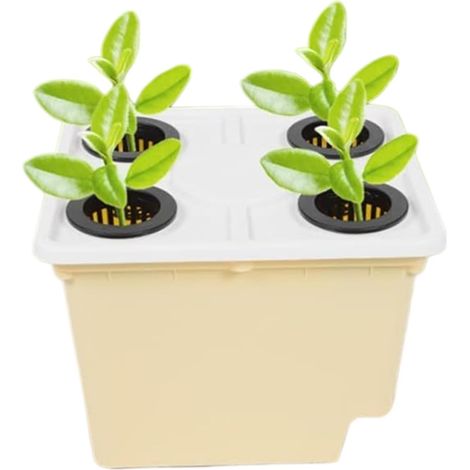 Pflanzgefäß Für Pflanzenwachstum Gartenbedarf Zur Erdfreien