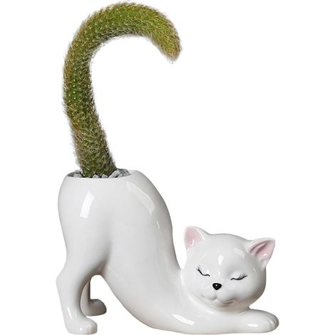 Pot de Fleurs en Céramique, Pot de Fleur en Forme de Chat, Petits Pots de Fleurs Interieur Pots pour Plantes Decoratif Ceramique pour Plantes Grasses, Fleurs, Cactus (Blanc) (1/5)