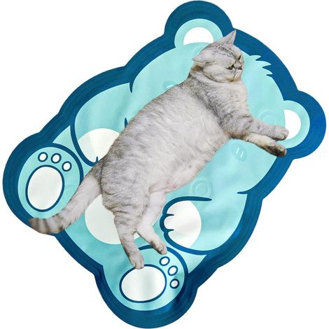 Feng Shui, Tapis de Refroidissement pour Animaux de Compagnie Couverture de Repos de Remplissage d'eau Tapis Cool résistant à l'usure pour Chien Ours de Dessin animé 11,81x14,96x0,79 (1/5)
