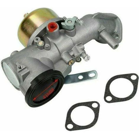 Carburador para motores Briggs & Stratton de 12 HP 491026/281707/491031 (1/4)