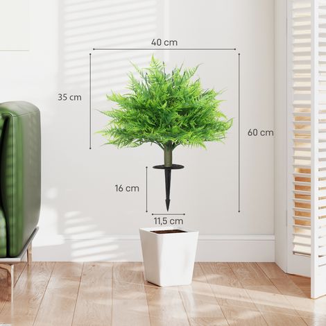 affen pflanze monstera Monstera Monkey Leaf – Fensterblatt