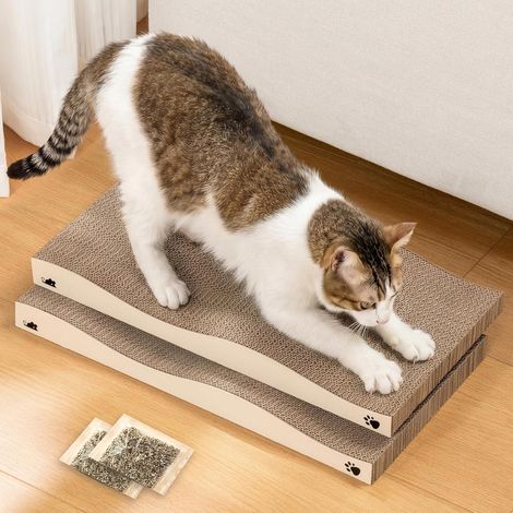 Griffoir en Carton Double Face, avec Herbe à Chat, réversible (1/5)