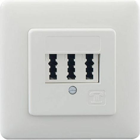 Rutenbeck TAE 3X6 NFN UP rw Presa telefonica Da incasso Bianco (1/3)