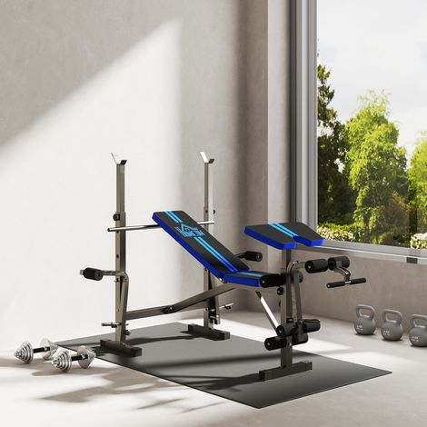 Banc Multifonction avec Support Barre et Dossier Réglable, Acier et Plastique, 175x139x127 cm, Noir et Bleu (1/5)
