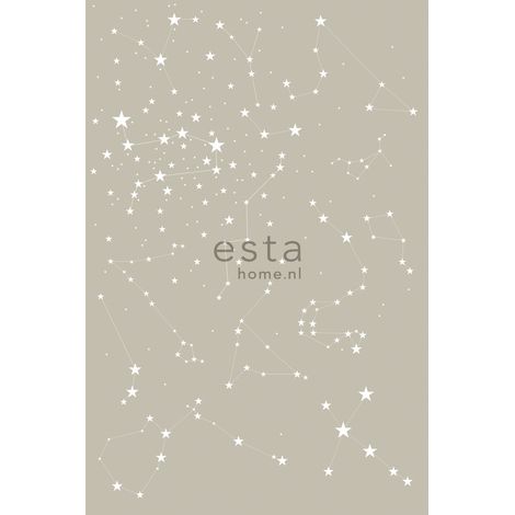 papier peint panoramique à motid d'étoiles taupe - ESTAhome (1/5)