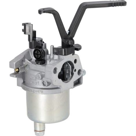 Carburateur BRIGGS & STRATTON 704930