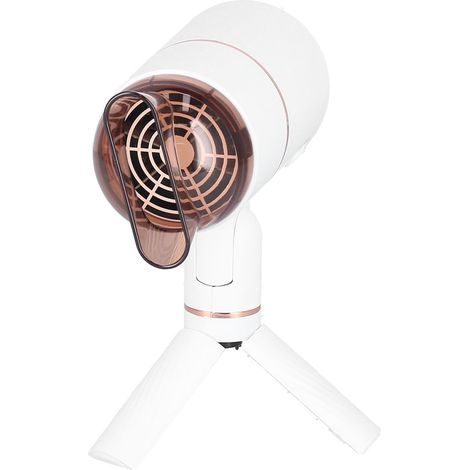 Zusammenklappbarer Haartrockner mit 3 Geschwindigkeitsstufen, Temperaturregelung, Negativ-Ionen-Technologie, für Friseursalons, EU-Stecker 220 V (1/5)